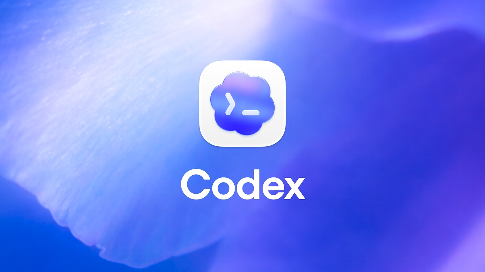 Codex от OpenAI может убить ваш SSD меньше чем за год: дефект с логами пишет 640 ТБ