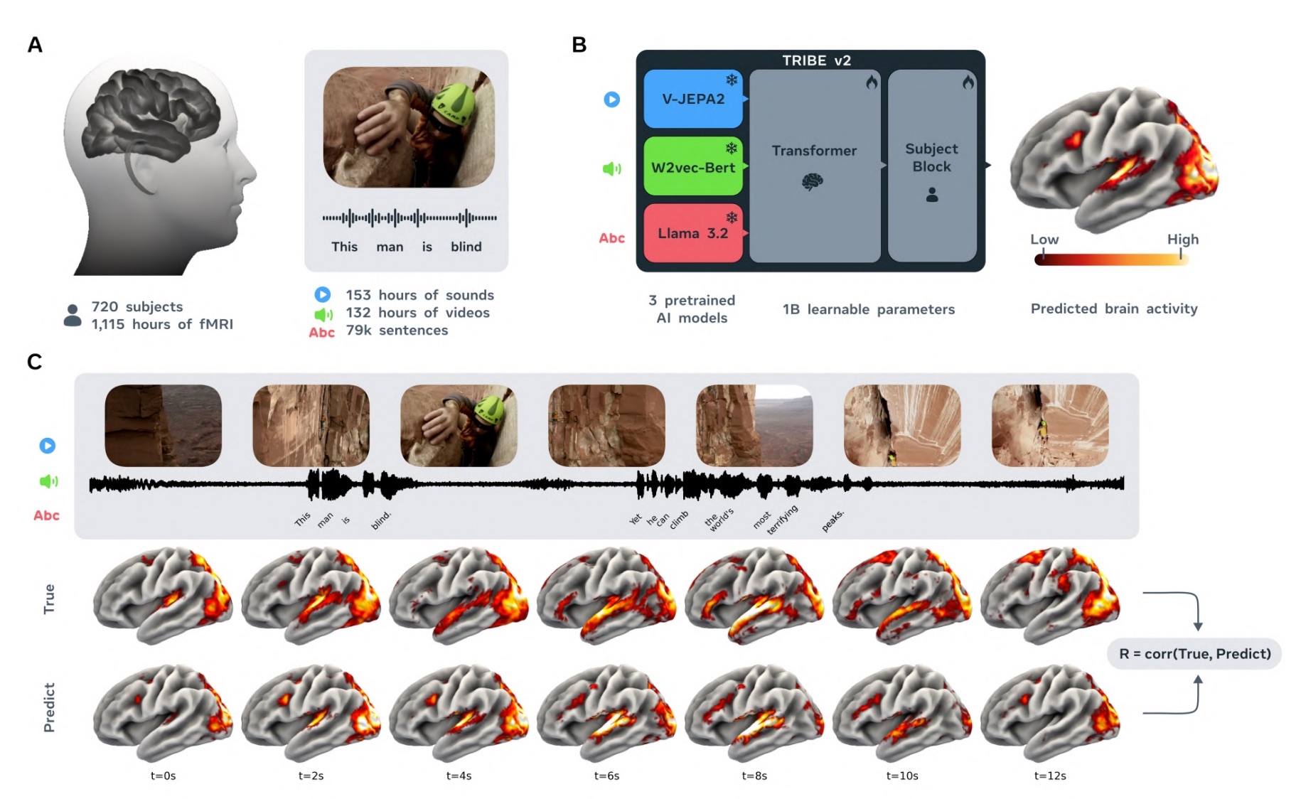 Meta* выпустила ИИ-двойника человеческого мозга — он предсказывает реакции, а не мысли