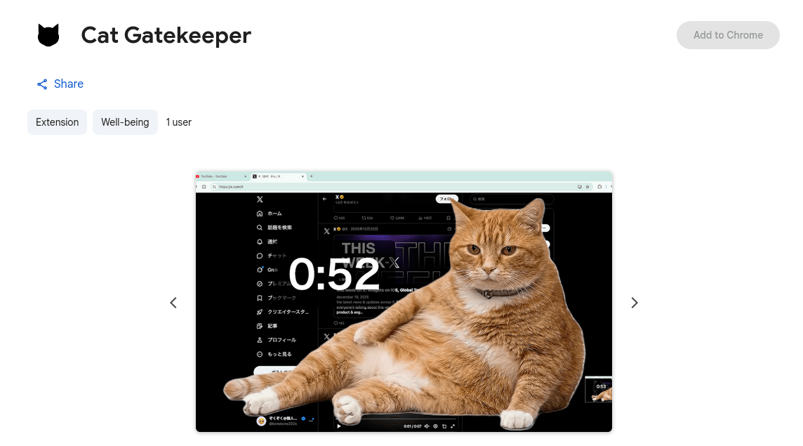 Представлено плагин Cat Gatekeeper для Chrome, в котором толстый кот по таймеру спасет от залипания в экран