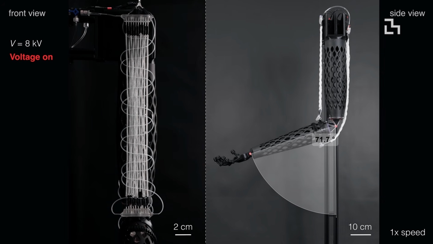 2 миллиметра, 4 килограмма, 0 моторов: в MIT придумали искусственные мышцы для роботов