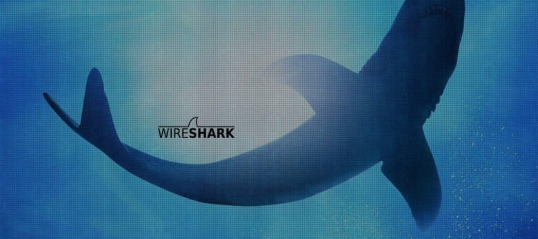 Вышло апдейт Wireshark 4.6.4