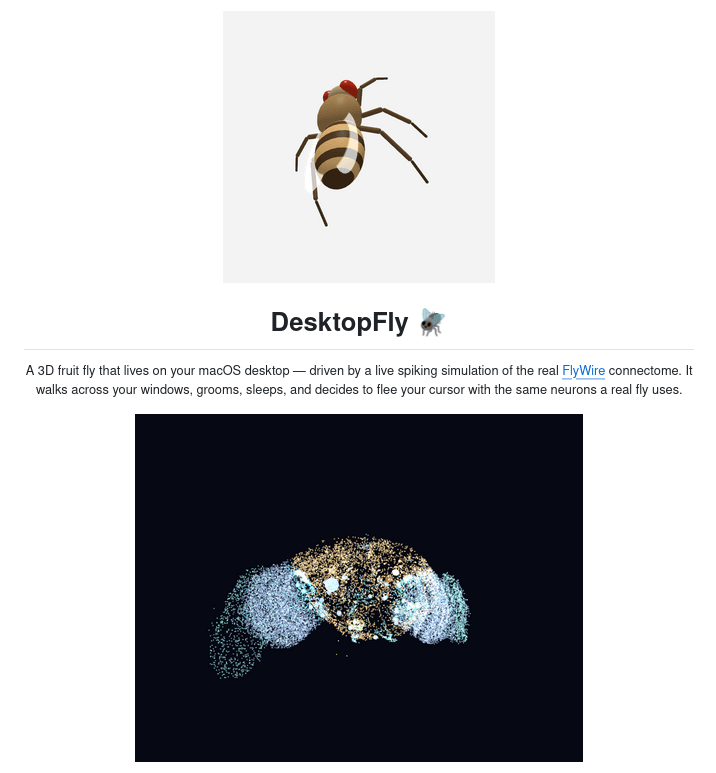 Представлен публике публичный инициатива DesktopFly — десктопный питомец для macOS в виде мухи на основе 668 нейронов мозга дрозофилы