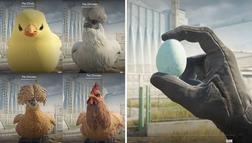 Valve тайком добавила в CS2 питомцев: теперь в игре можно выращивать курочек