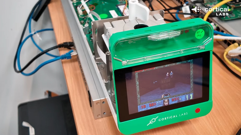 «Биологический компьютер» на основе клеток мозга научили играть в Doom