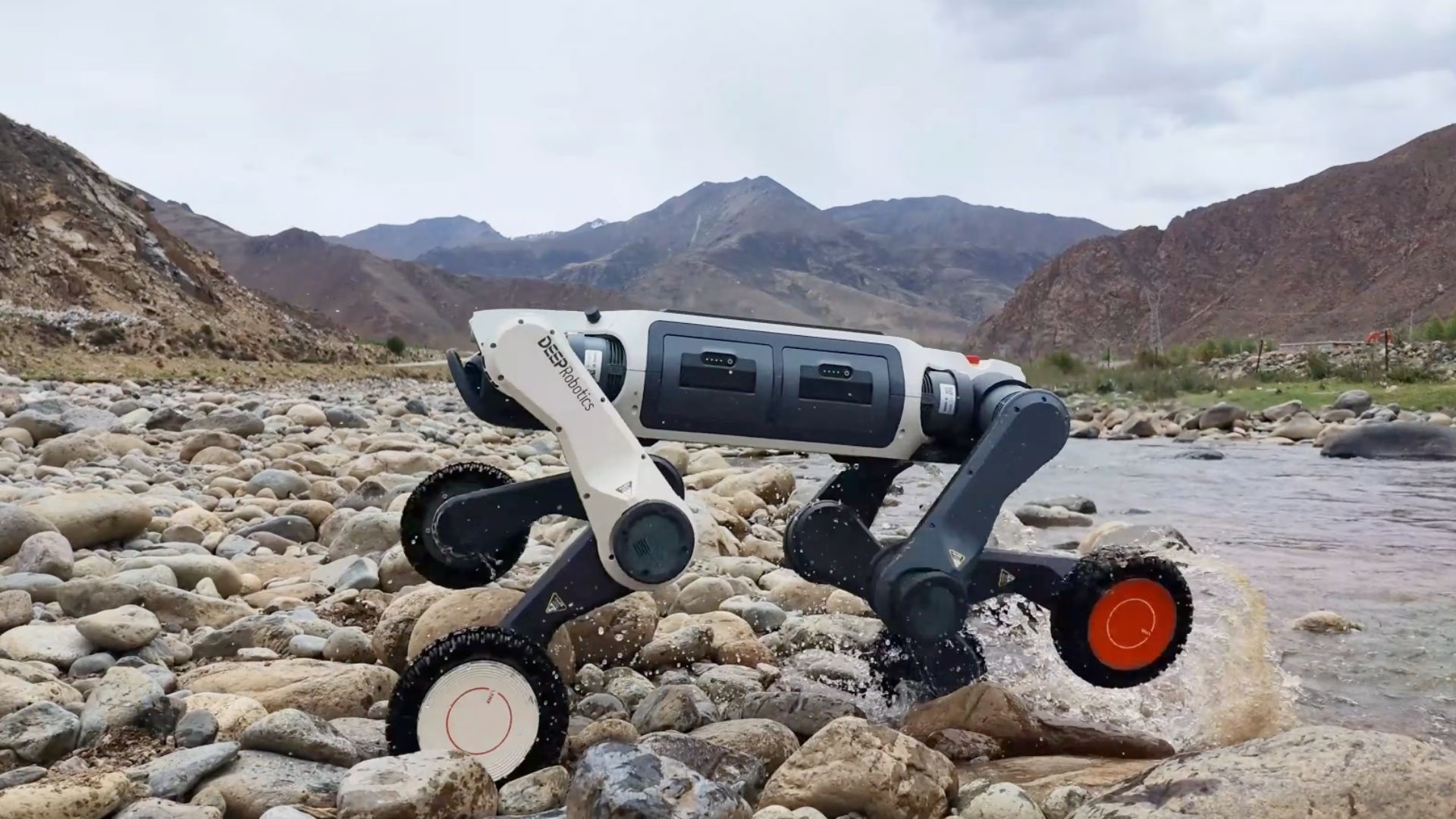 DEEP Robotics показала усиленную схема робопса Lynx M20