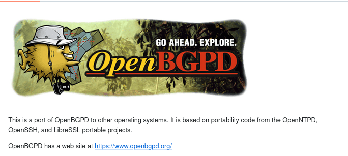 Версия обновления пакета маршрутизации OpenBGPD 9.1