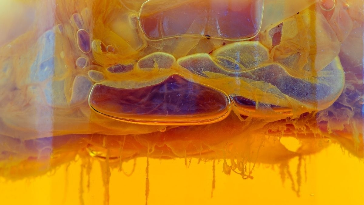 Жизнь могла начаться с липкой слизи — задолго до появления клеток