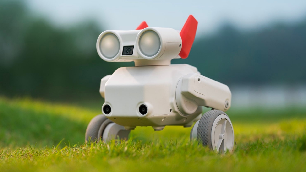 Mondo Robotics представила Beni — колёсного робота-оператора с функцией автоматического следования и записью в 4K