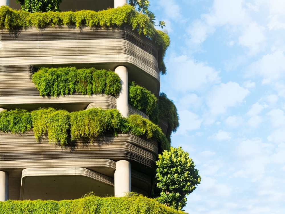 Учёные хотят проектировать города, которые будут благотворно влиять на психику жителей