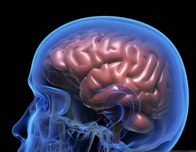 Ученые выяснили, почему у некоторых людей мозг не стареет