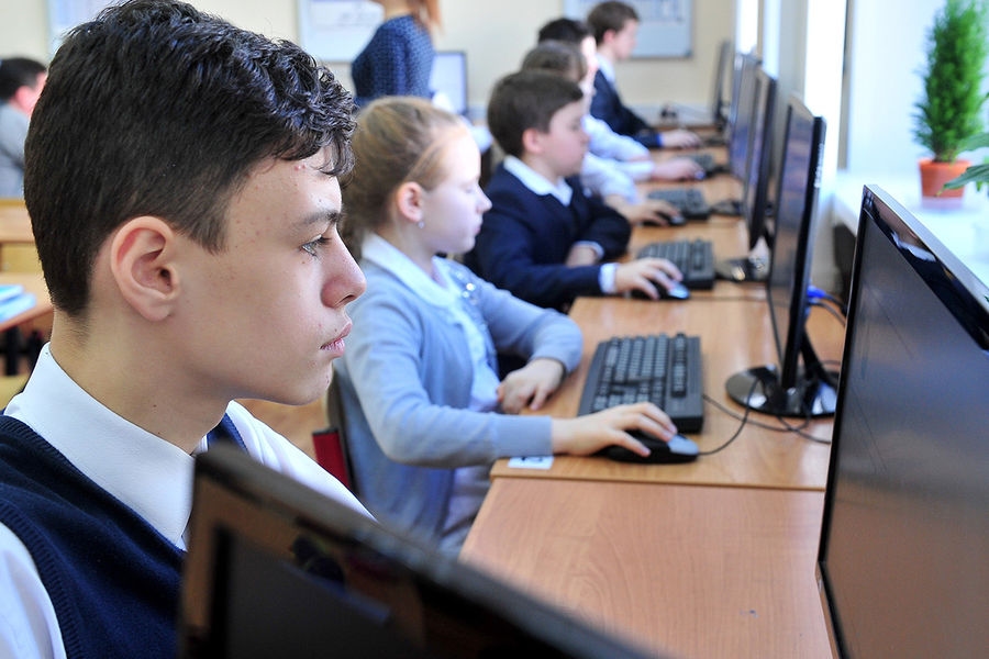 С 2027 года в школьный курс информатики включат темы, связанные с ИИ