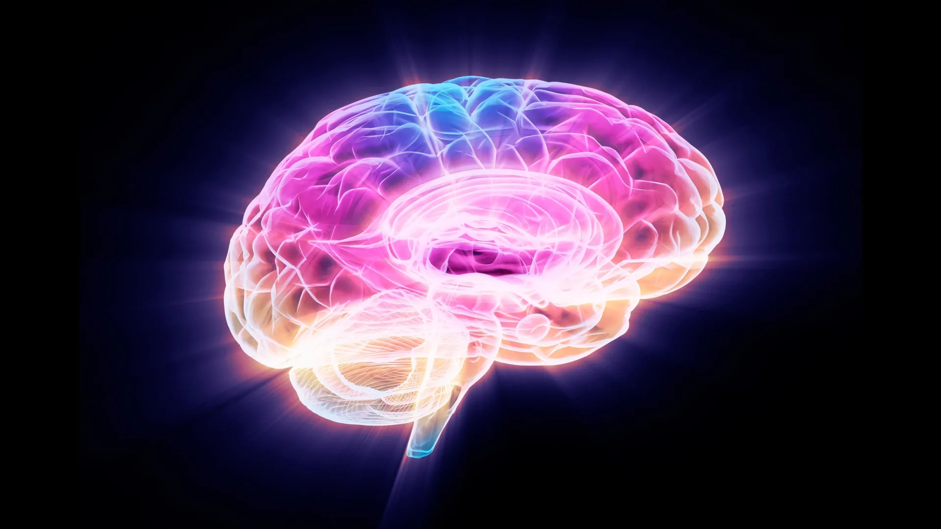 Учёные обнаружили белок, вызывающий старение мозга — и потенциальный метод его остановить