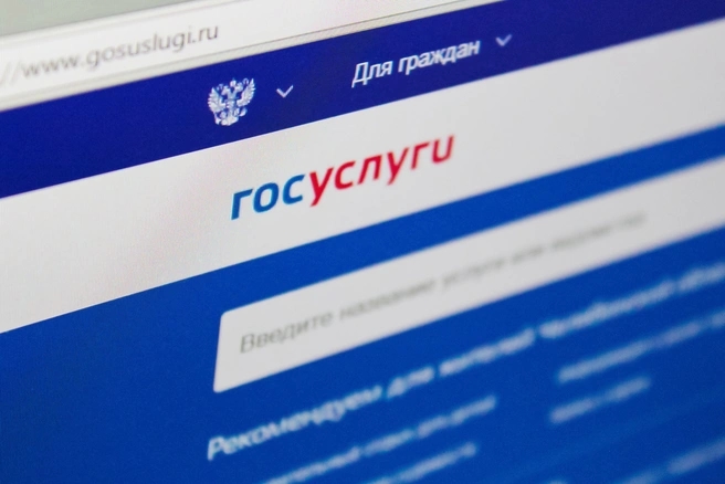 Григоренко: у властей нет планов создавать из «Госуслуг» TikTok