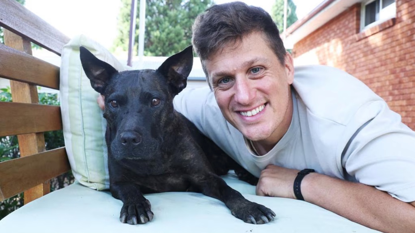 ChatGPT помог айтишнику создать вакцину от рака для собаки — опухоль уменьшилась на 75%