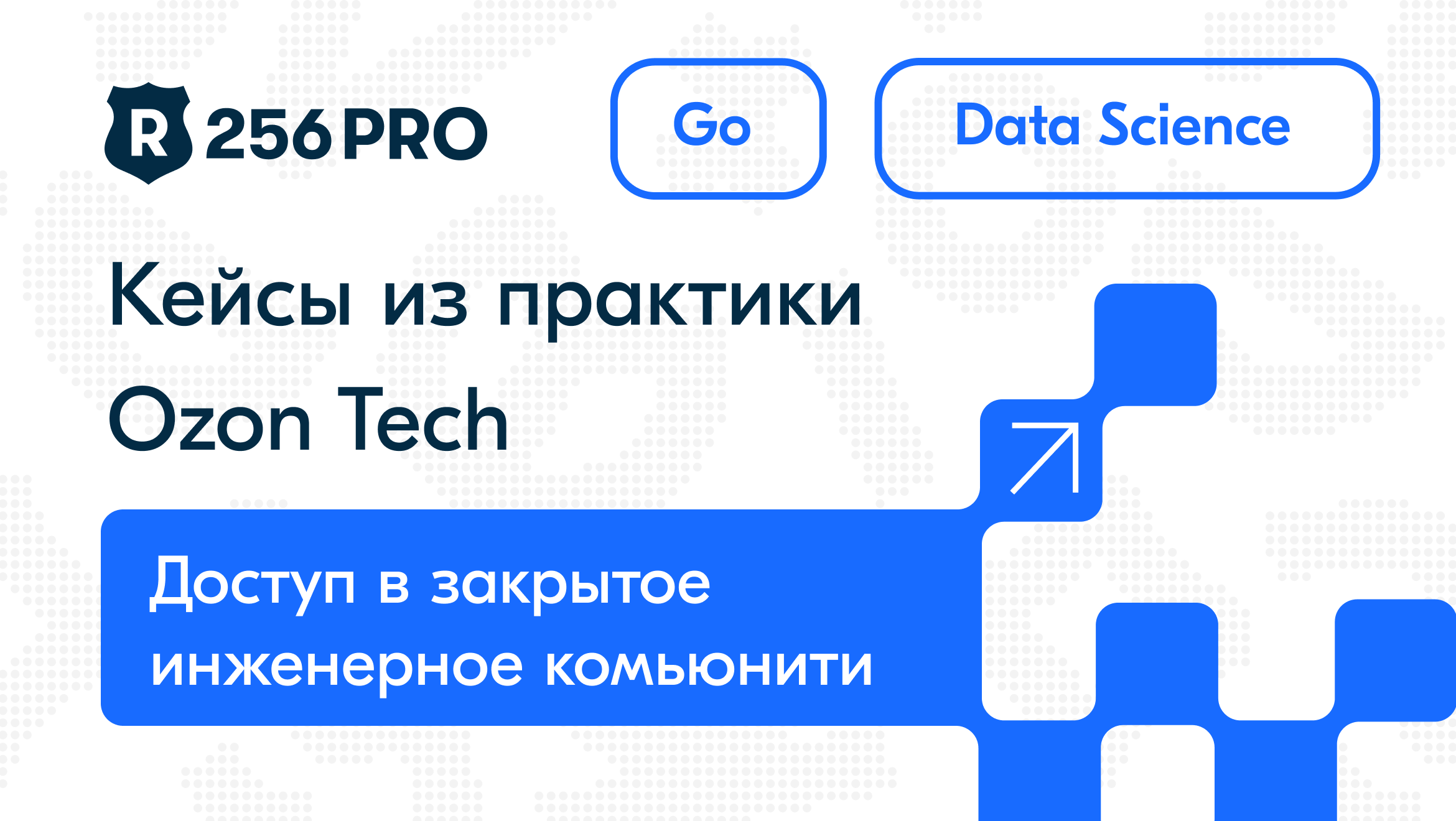 Route 256 Pro: запускаем свежий онлайн-интенсив